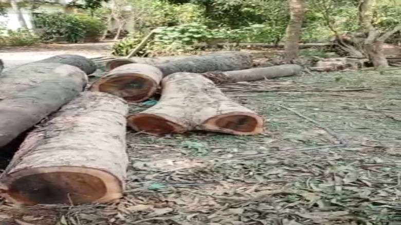 লামায় সরকারি কোনো অনুমতি ছাড়া বিদ্যুৎ অফিসের ভিতরে ভবন নির্